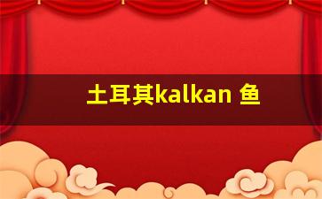 土耳其kalkan 鱼